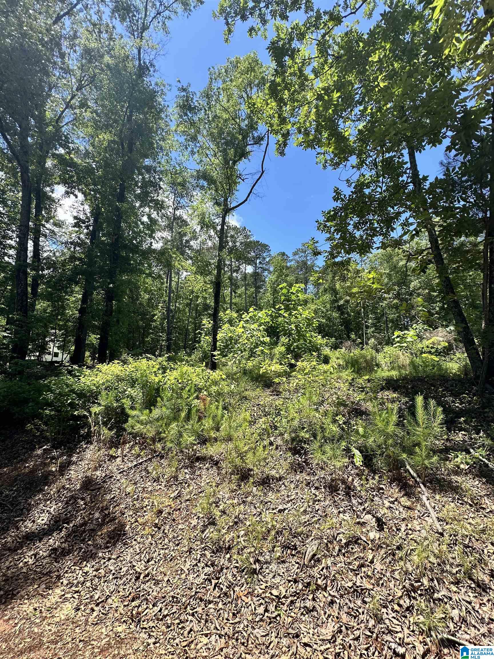 350 Black Acres Road, Unit 11 Cropwell, AL 35054 - Photo 14 of 16