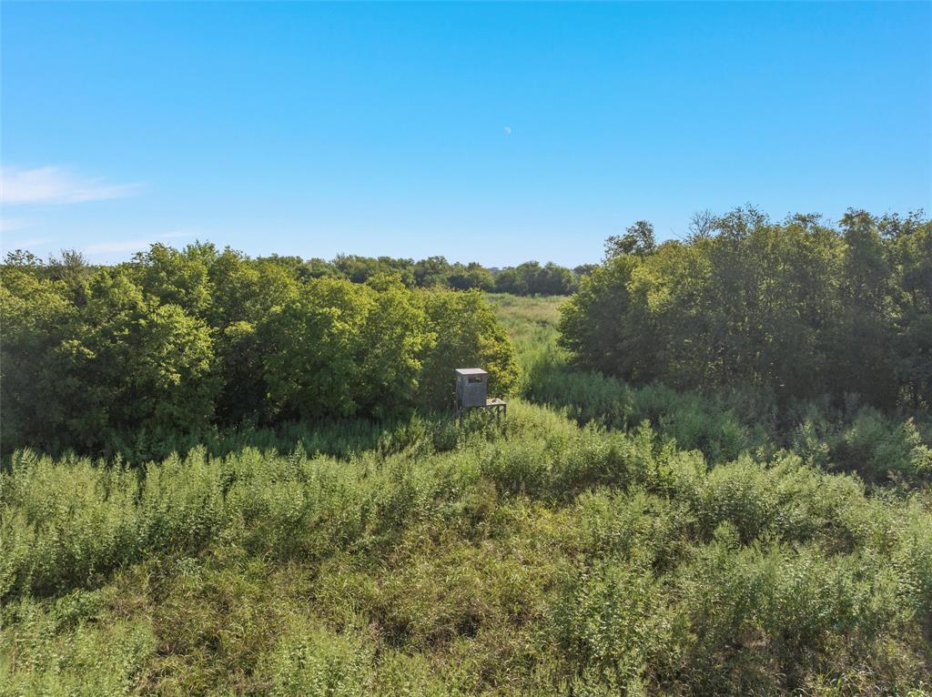 902 Mattlage Road Crawford, TX 76638 - Photo 18 of 30 View of undeveloped land