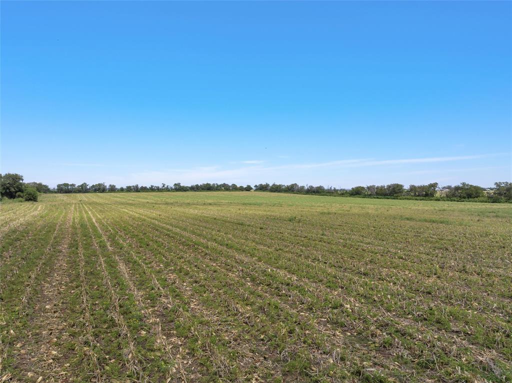 902 Mattlage Road Crawford, TX 76638 - Photo 28 of 30 View of yard with a view of rural / pastoral area and agricultural area