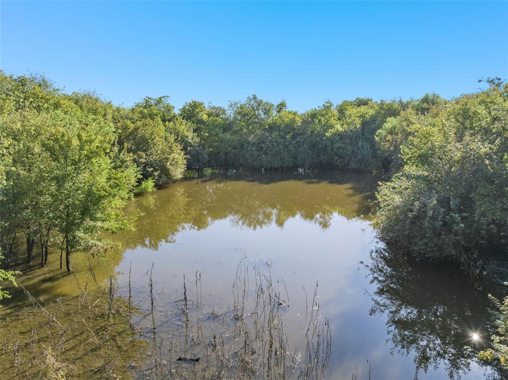 902 Mattlage Road Crawford, TX 76638 - Photo 3 of 30 Water view featuring a forest