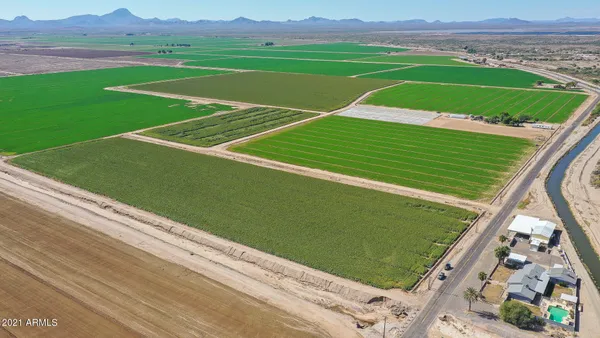 a view of a field with a big yard