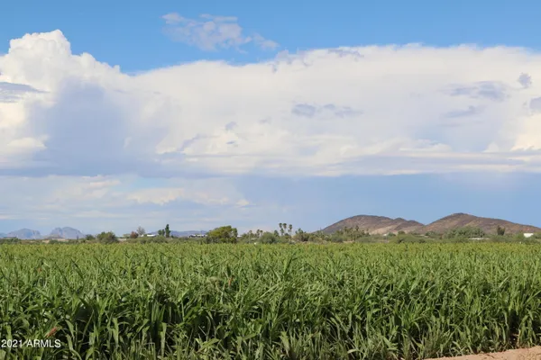a view of a lush green field with mountains in the background
