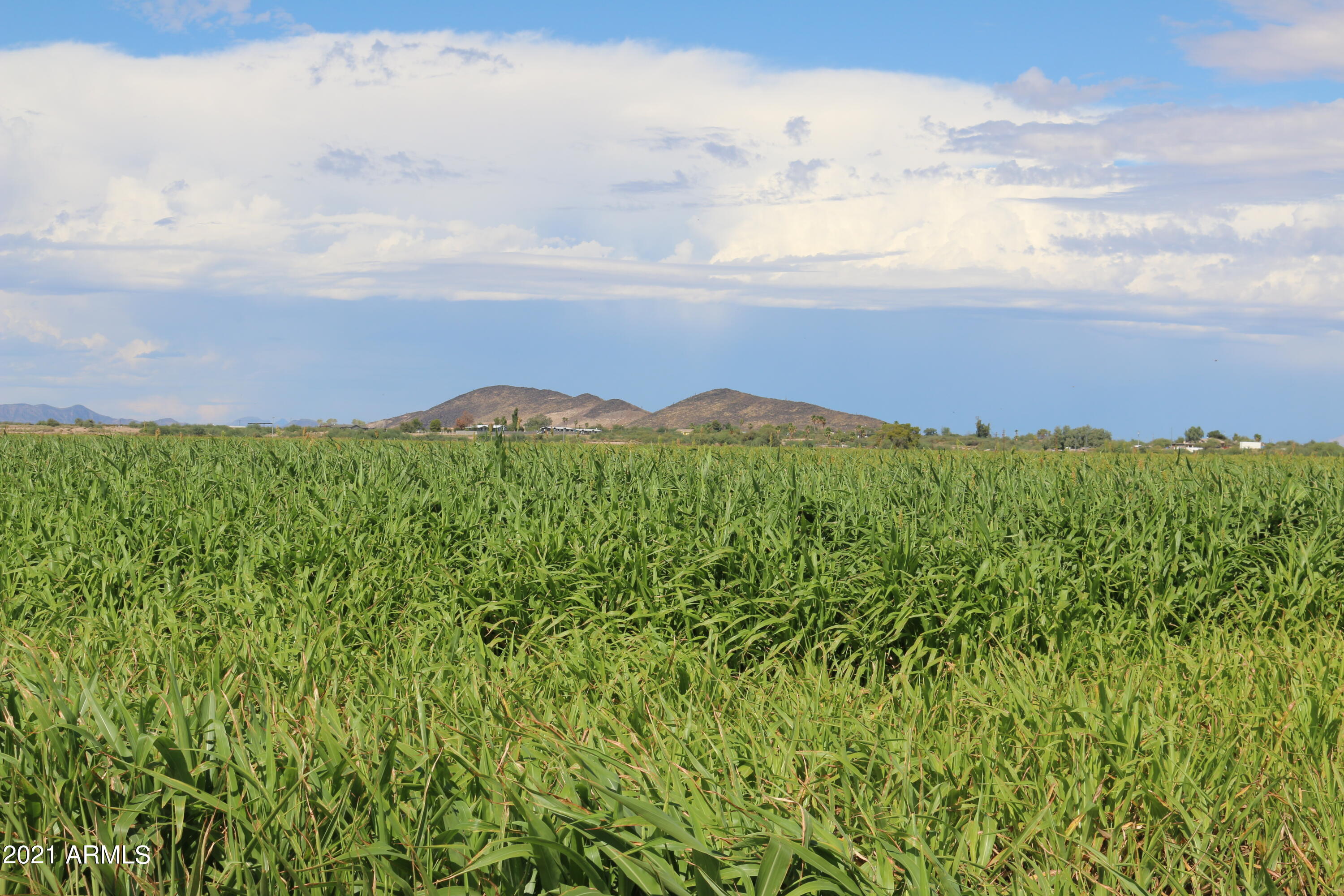 33311 West Ray Road Arlington, AZ 85322 - Photo 16 of 25 Many mountain views