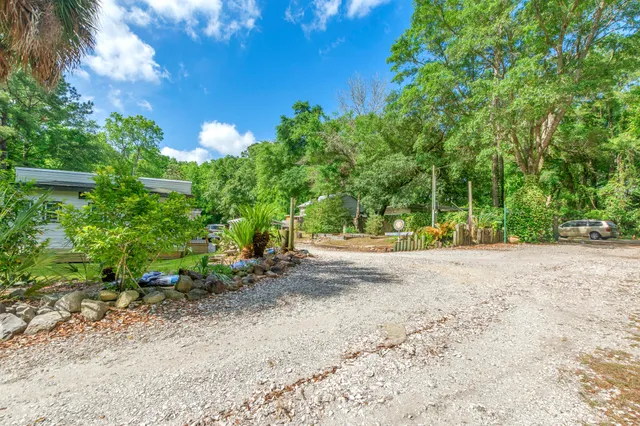 a view of a yard with plants and trees