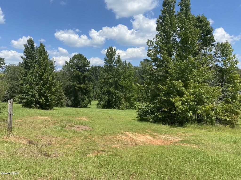 3582 Morris Hill Road Vernon, FL 32462 - Photo 8 of 25 Gallery Image 8