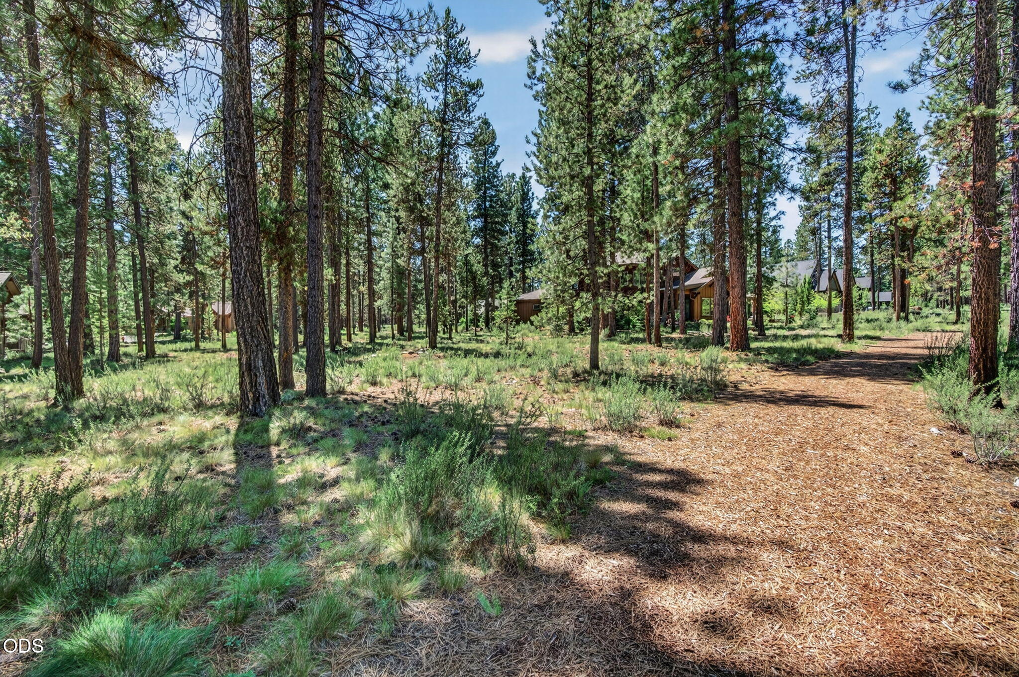 56288 Trailmere Circle Bend, OR 97707 - Photo 6 of 31