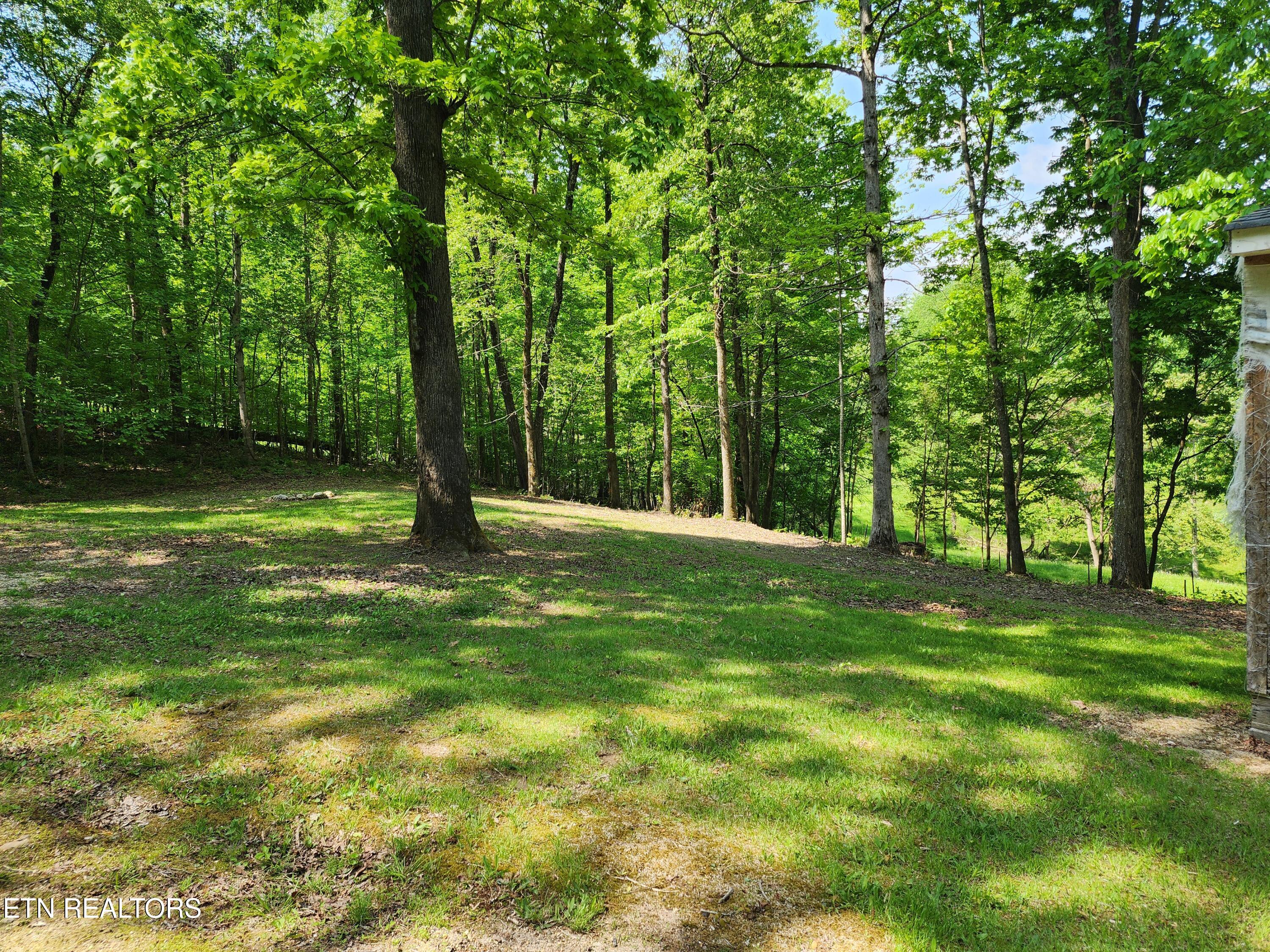 441 Parker Road La Follette, TN 37766 - Photo 38 of 47 20250429_114136