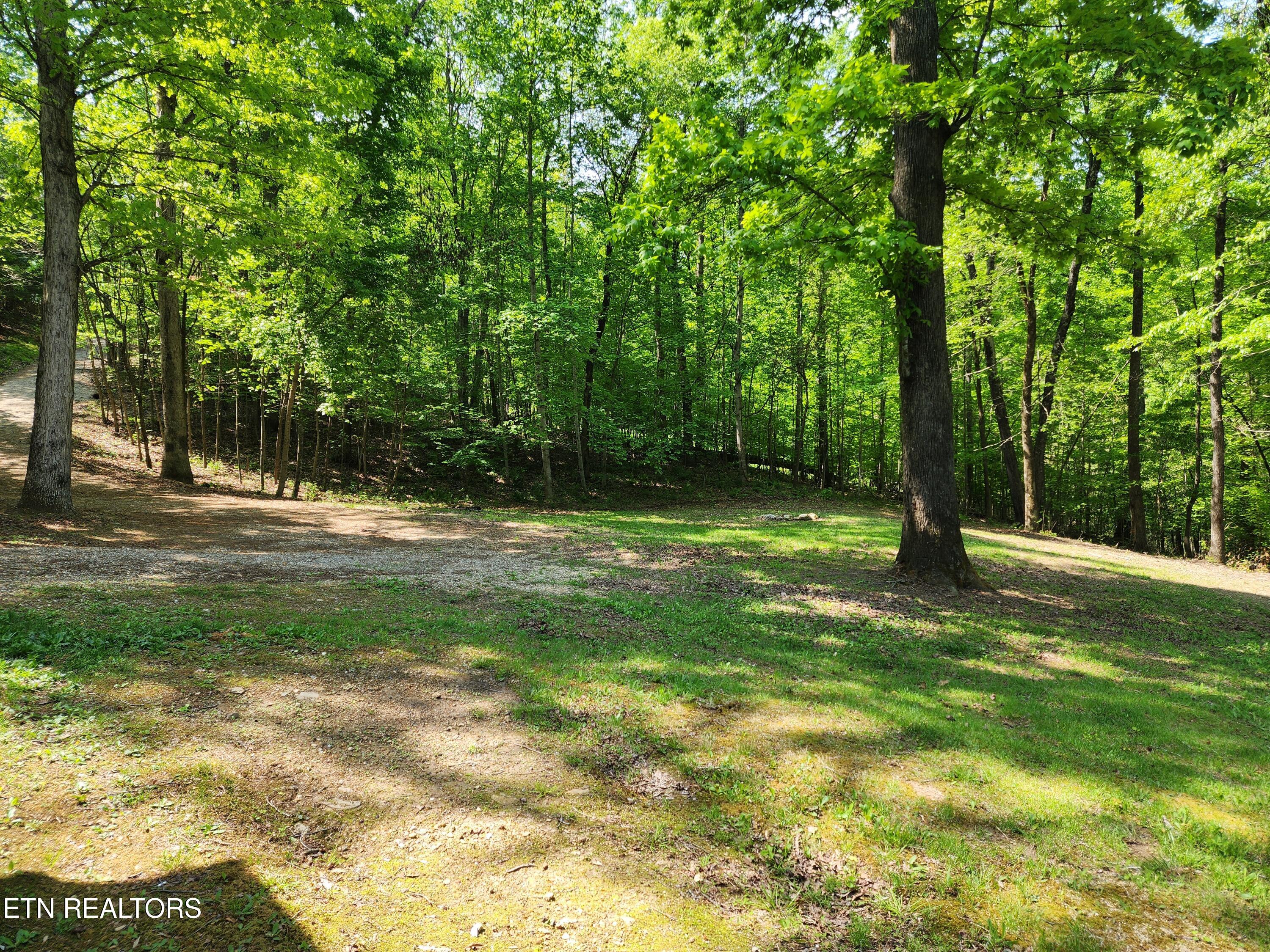 441 Parker Road La Follette, TN 37766 - Photo 40 of 47 20250429_114133