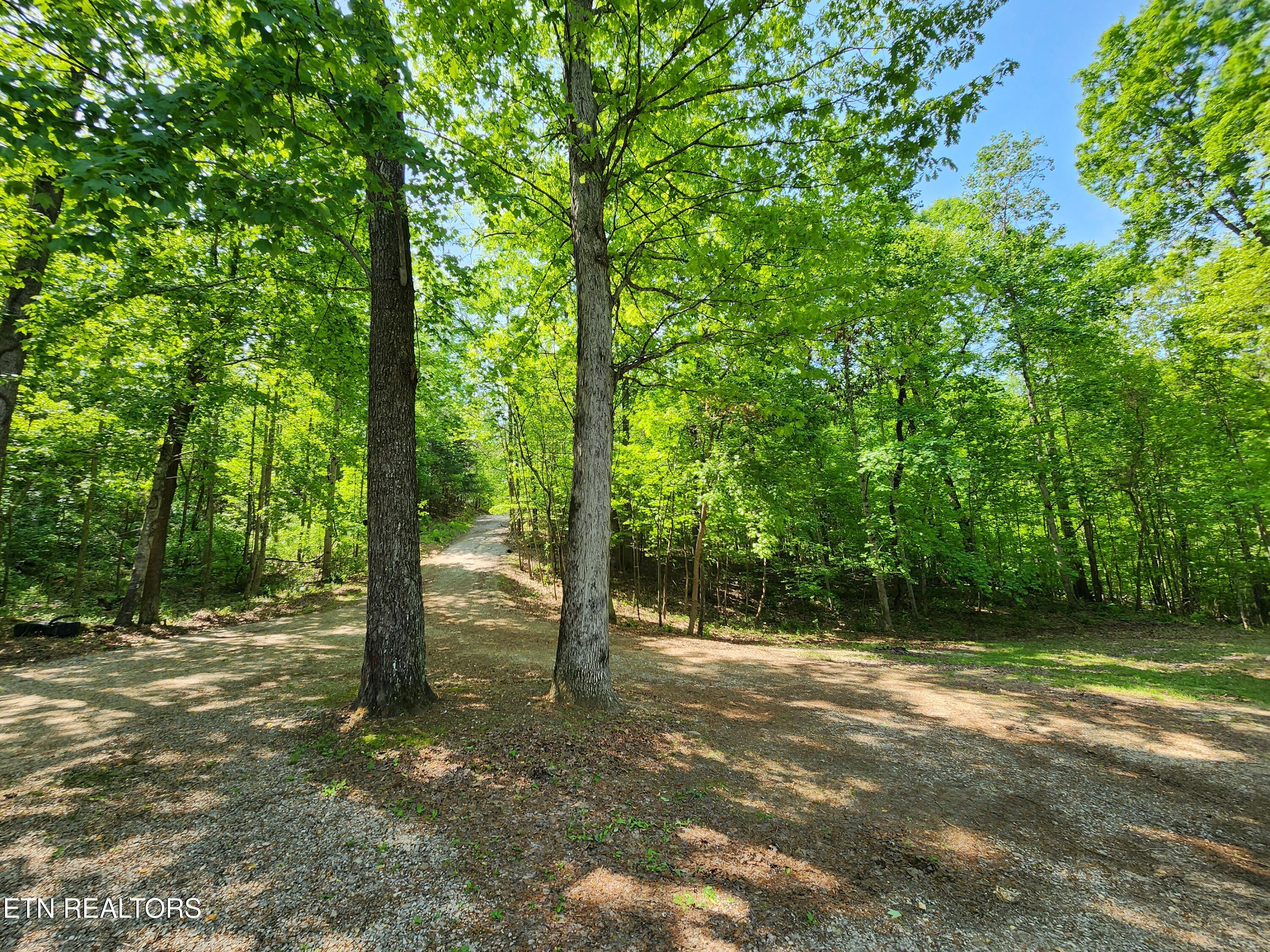 441 Parker Road La Follette, TN 37766 - Photo 43 of 47 20250429_113831