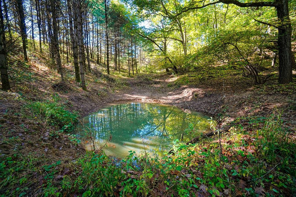 600 Oakwood Street Warrens, WI 54666 - Photo 69 of 81