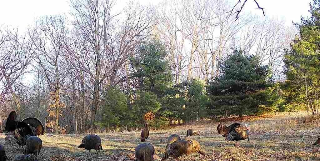 600 Oakwood Street Warrens, WI 54666 - Photo 74 of 81