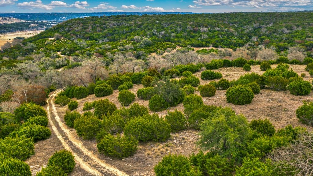 235 Merrill Lane Ingram, TX 78025 - Photo 17 of 20 a view of a garden with a plant