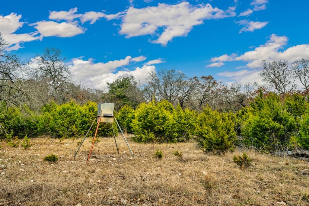 235 Merrill Lane Ingram, TX 78025 - Photo 6 of 20