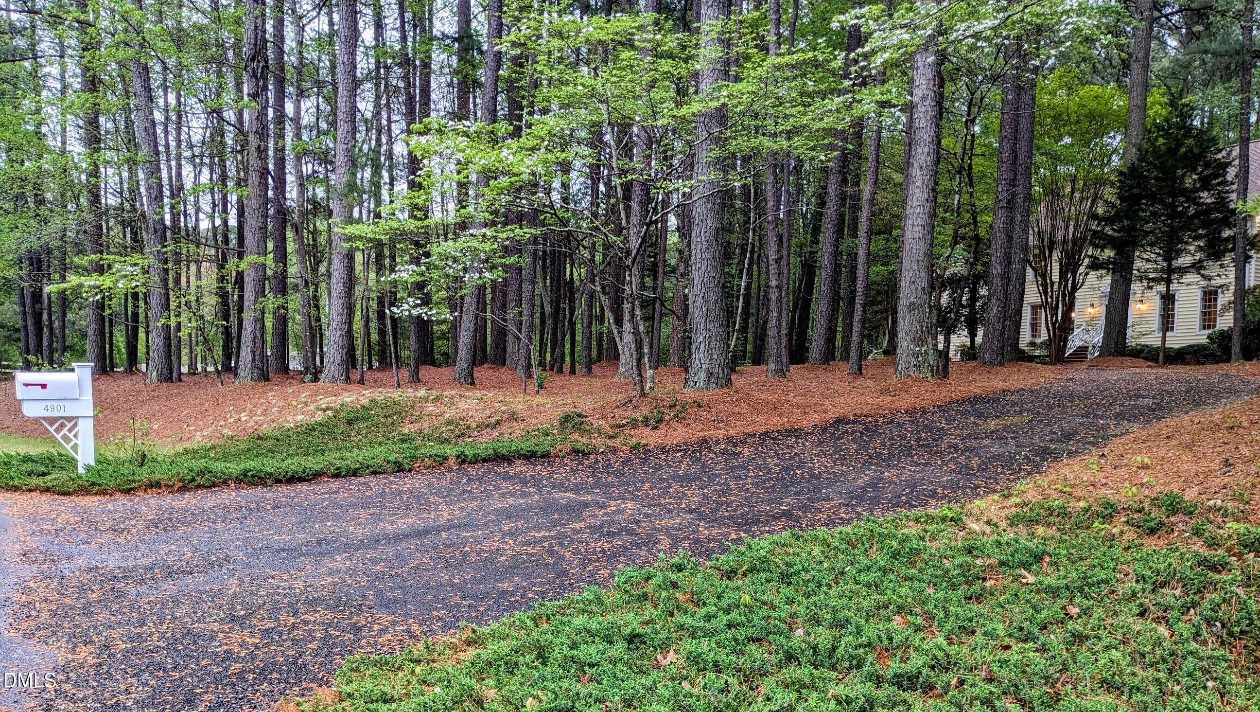 4901 Stoneridge Drive Raleigh, NC 27612 - Photo 47 of 50 a view of outdoor space with trees