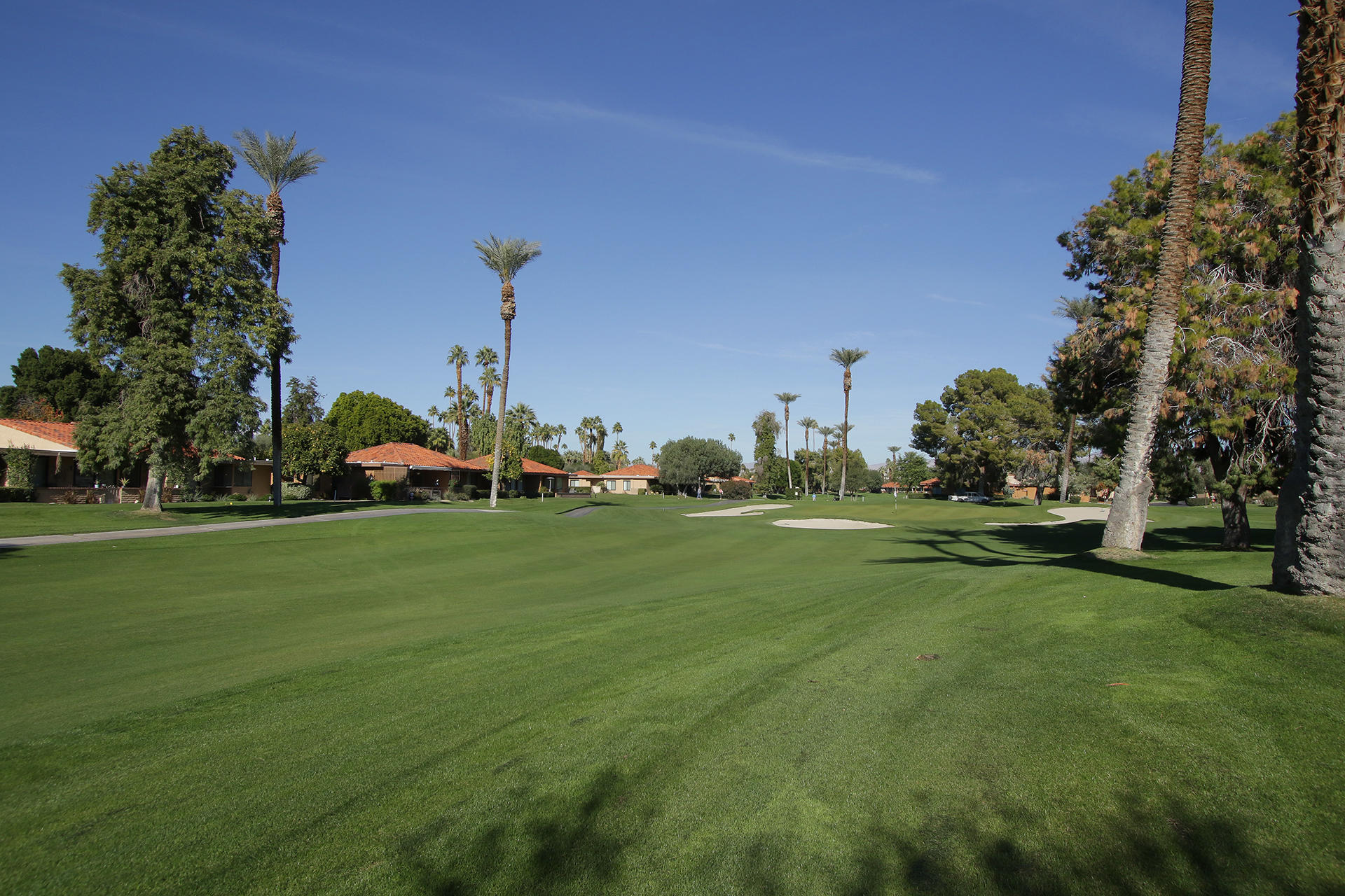6 Cadiz Drive Rancho Mirage, CA 92270 - Photo 12 of 27 a view of a park with large trees