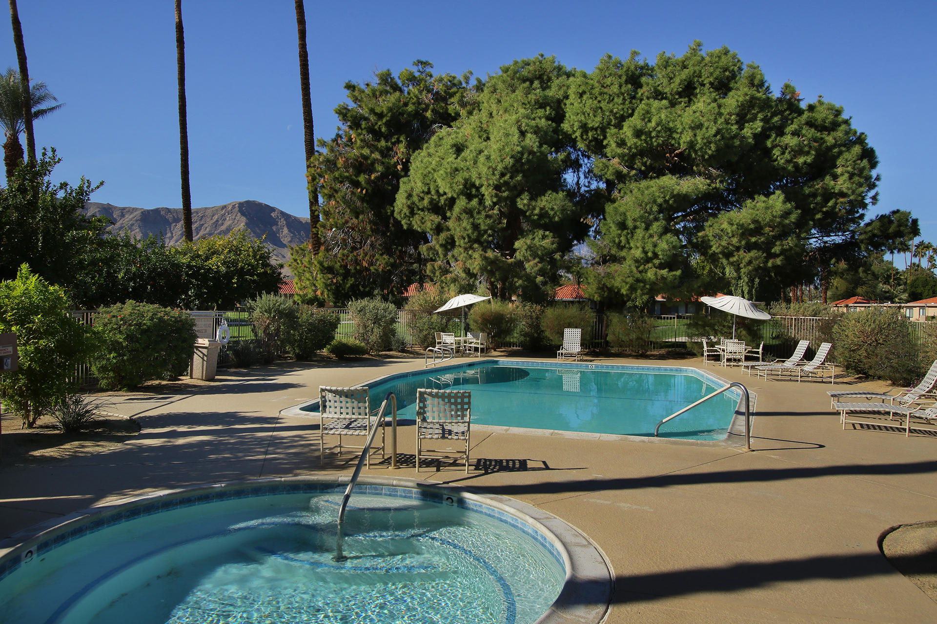 6 Cadiz Drive Rancho Mirage, CA 92270 - Photo 26 of 27 a view of a yard with a patio