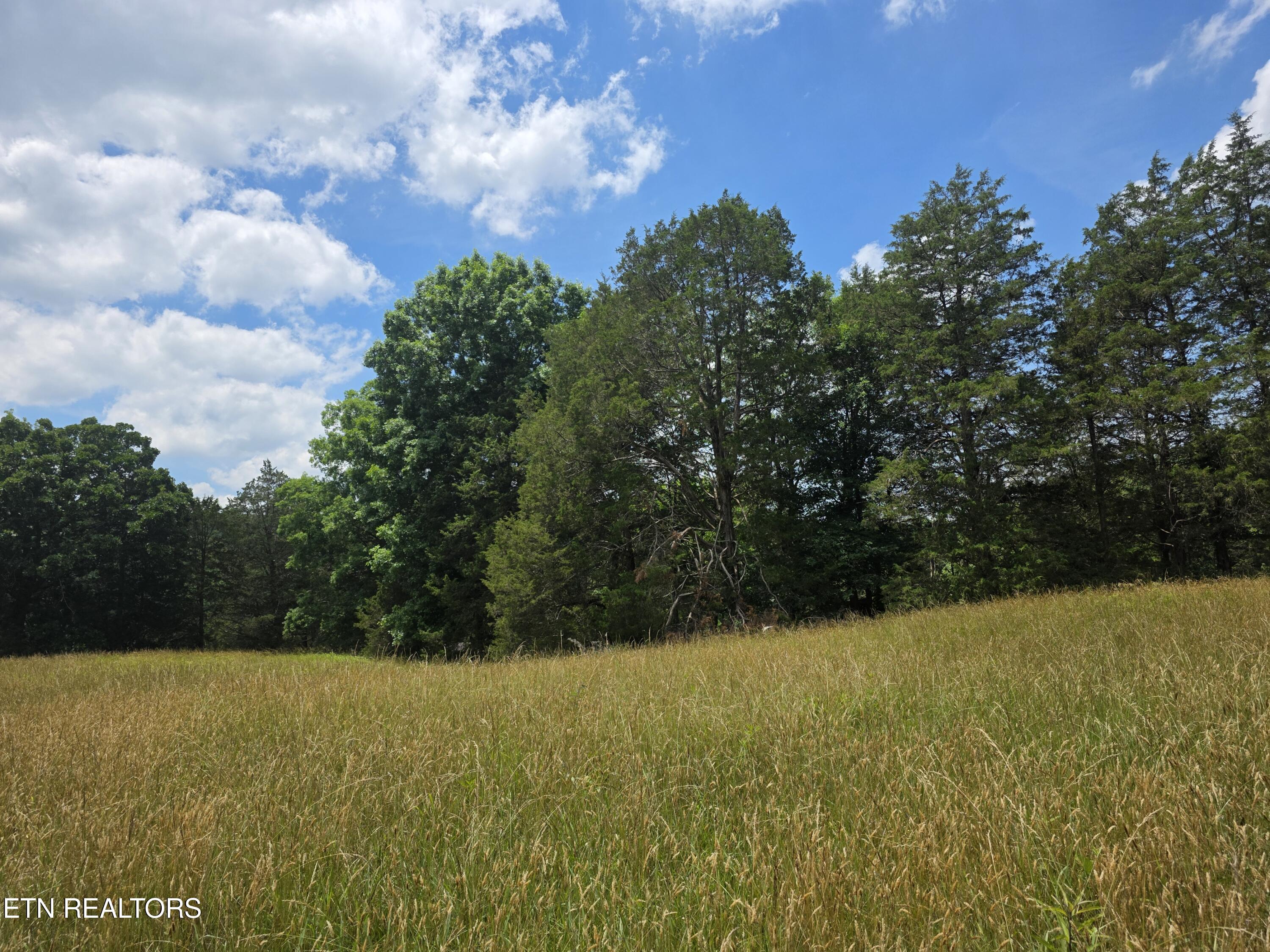 8050 Lett Road Corryton, TN 37721 - Photo 14 of 30 Pasture