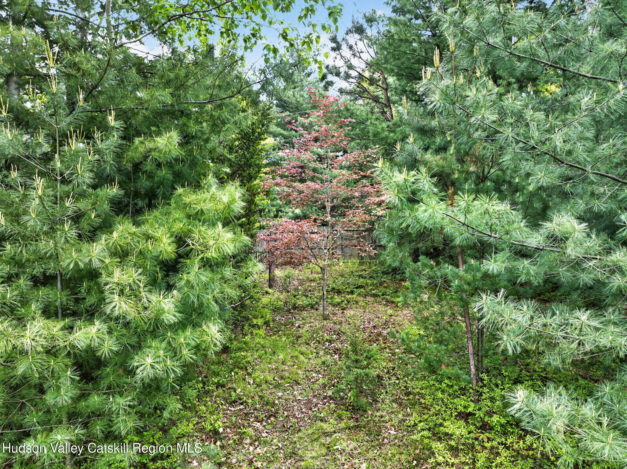 189 Bush Road Stone Ridge, NY 12484 - Photo 59 of 60 an aerial view of residential house with outdoor space and trees all around