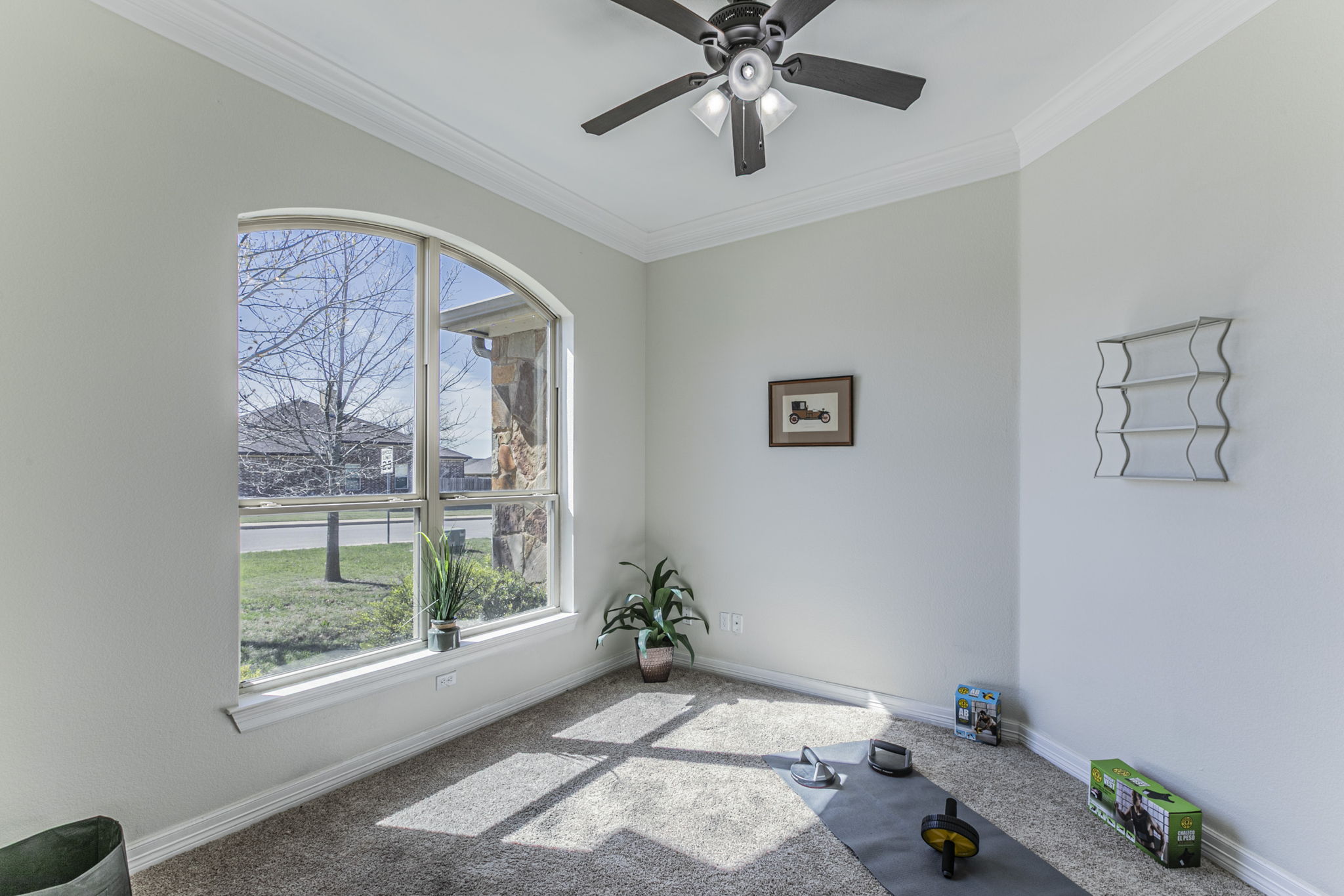 300 Magan Lane Jarrell, TX 76537 - Photo 11 of 33 Carpeted empty room with crown molding and a ceiling fan