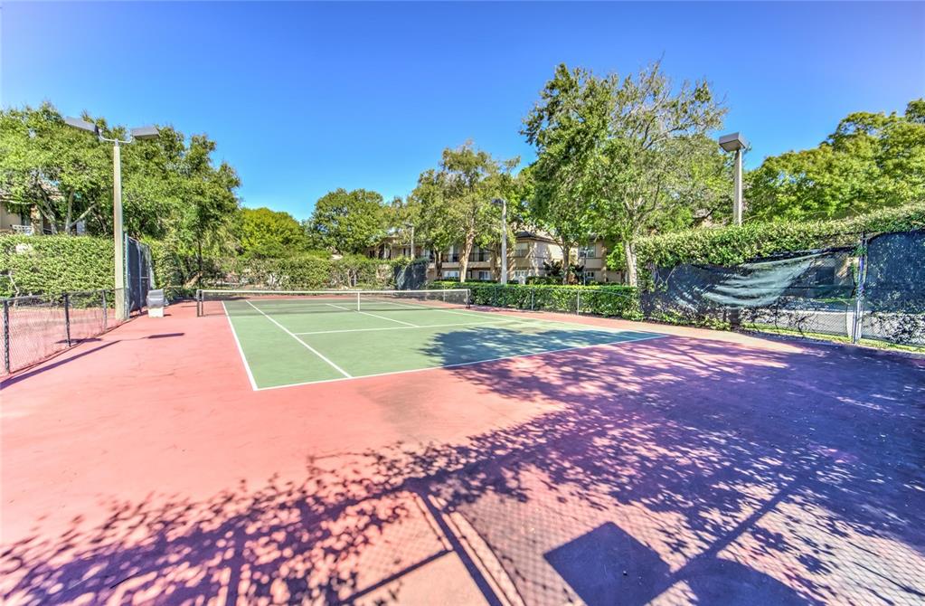 845 Normandy Trace Road Tampa, FL 33602 - Photo 19 of 53