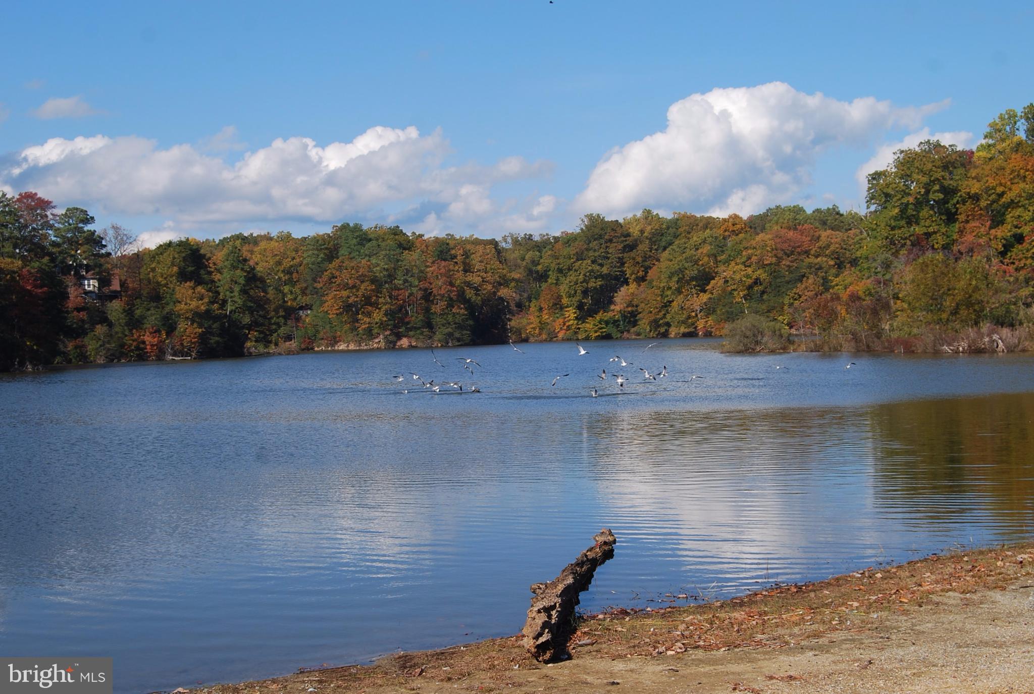 602 Running Fox Road Lusby, MD 20657 - Photo 24 of 30 Lake by Seahorse Beach