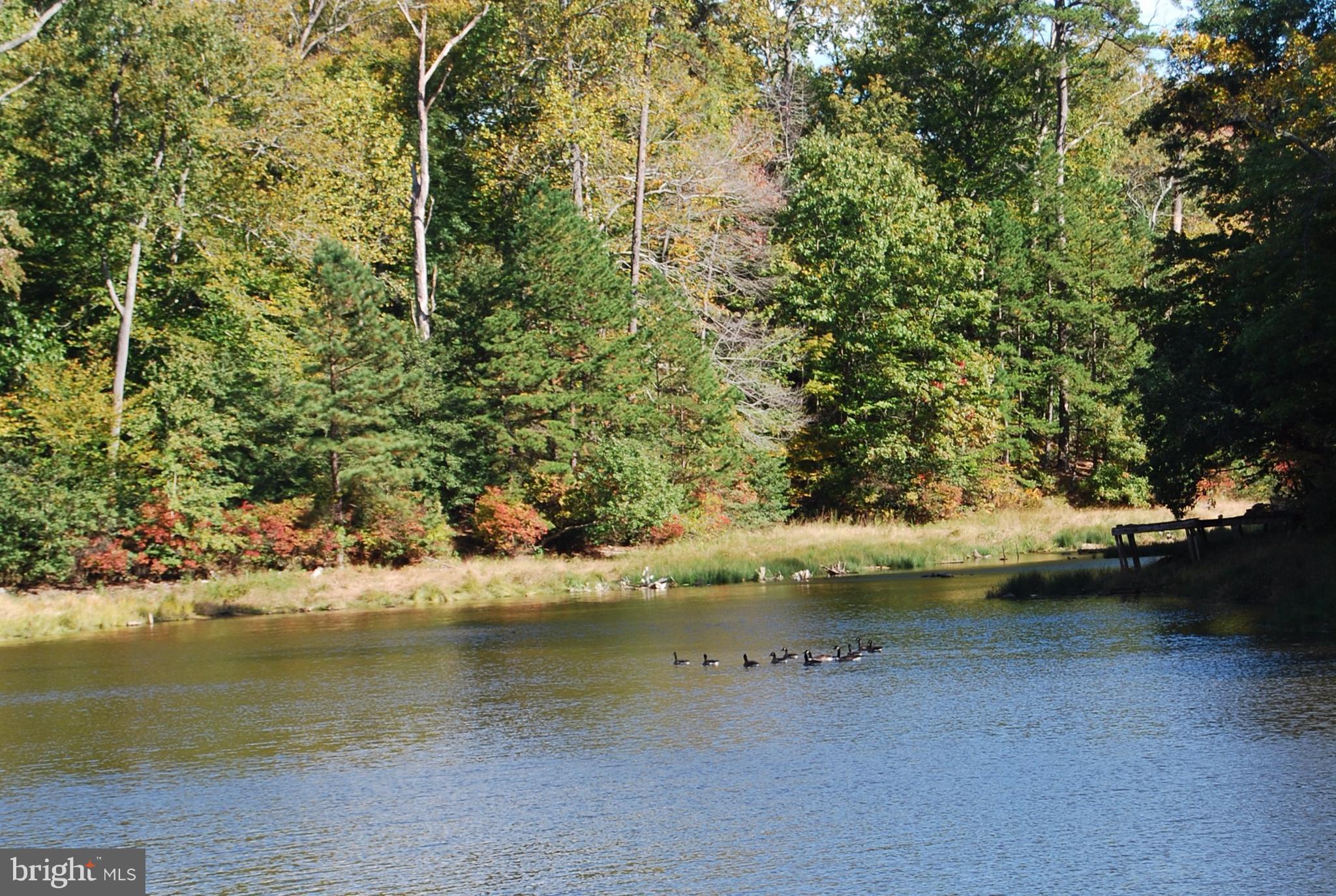 602 Running Fox Road Lusby, MD 20657 - Photo 7 of 30 View of Lake from dock