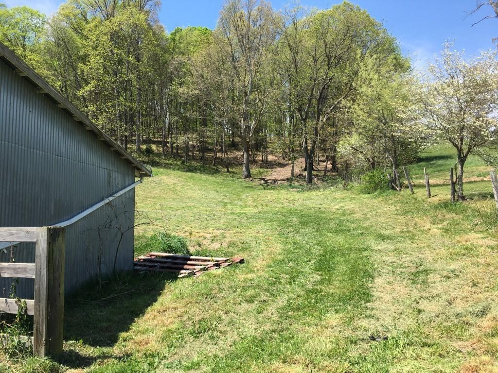 Tbd Fordtown Road Fall Branch, TN 37656 - Photo 1 of 7 Photo 1