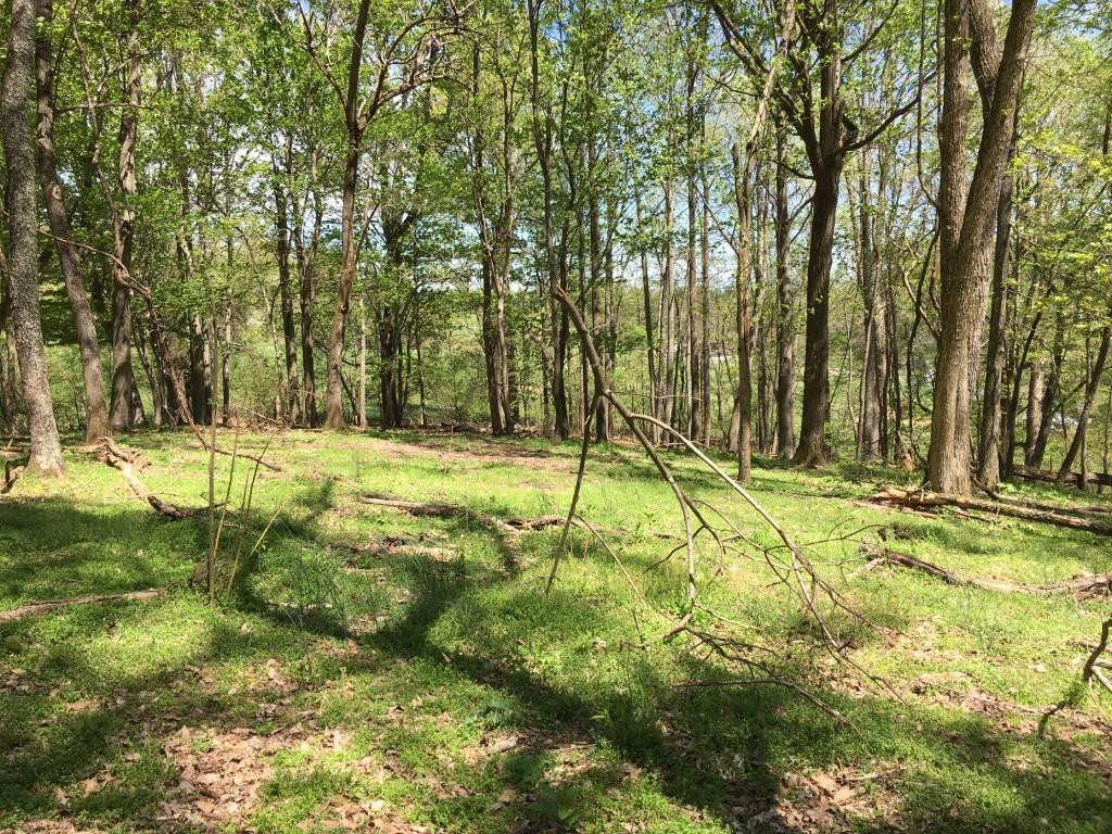Tbd Fordtown Road Fall Branch, TN 37656 - Photo 2 of 7 Photo 2