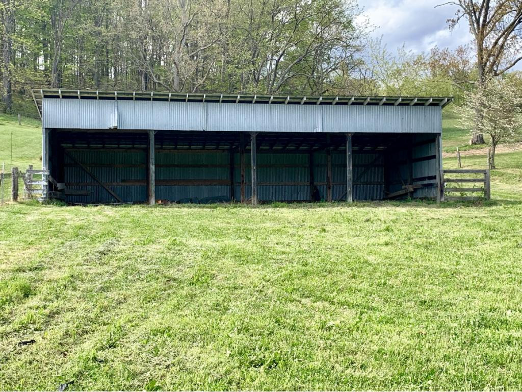 Tbd Fordtown Road Fall Branch, TN 37656 - Photo 4 of 7 Photo 4