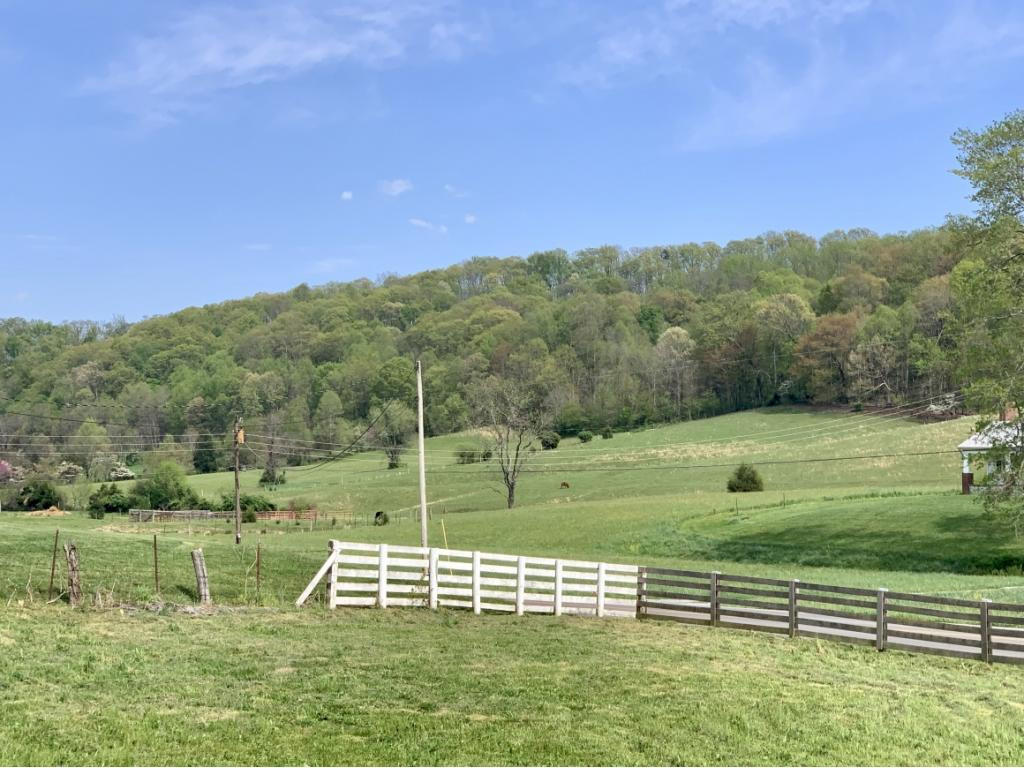 Tbd Fordtown Road Fall Branch, TN 37656 - Photo 5 of 7 Views from property