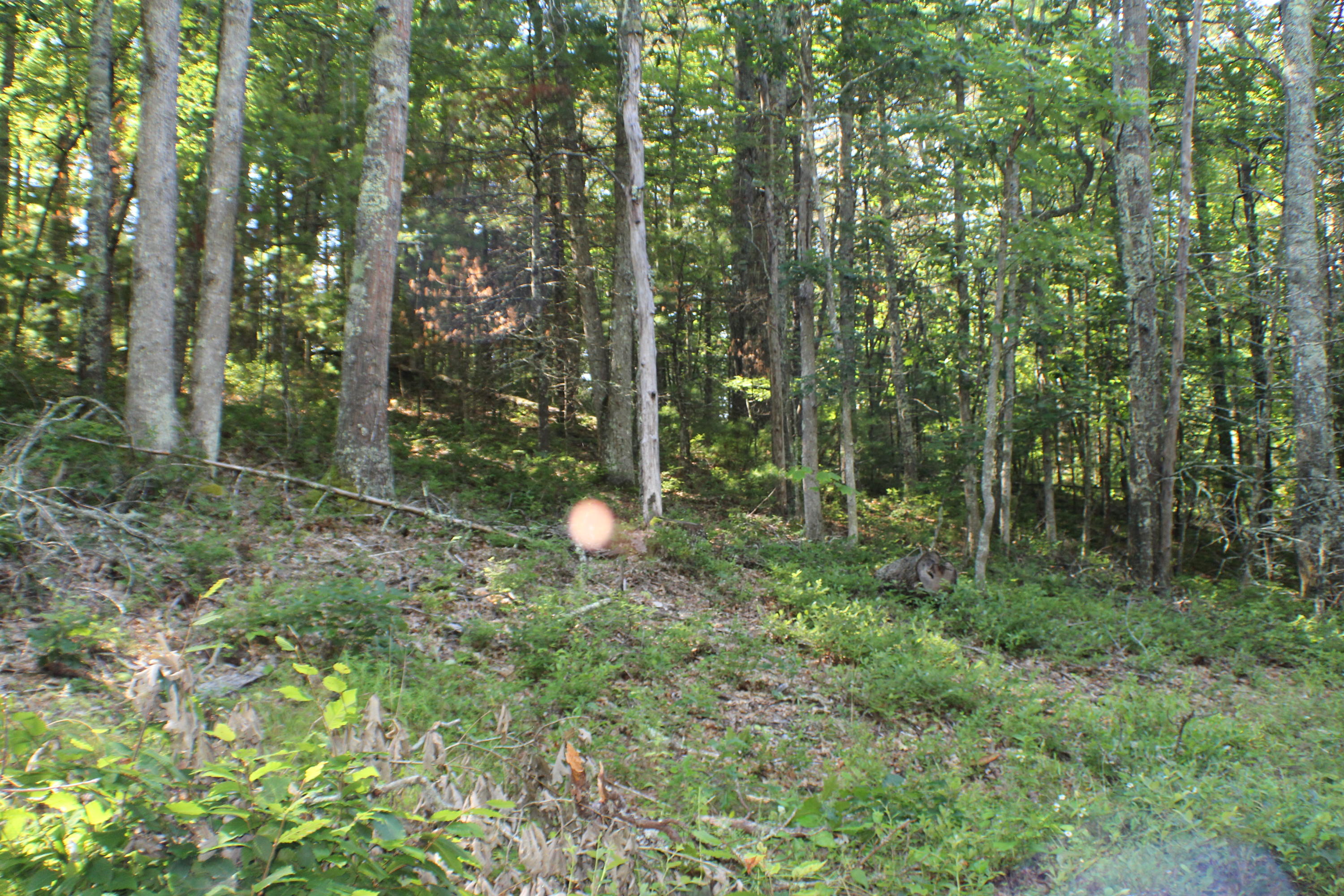 Laurel Run Road Dunmore, WV 24934 - Photo 3 of 8 Gallery Image 3