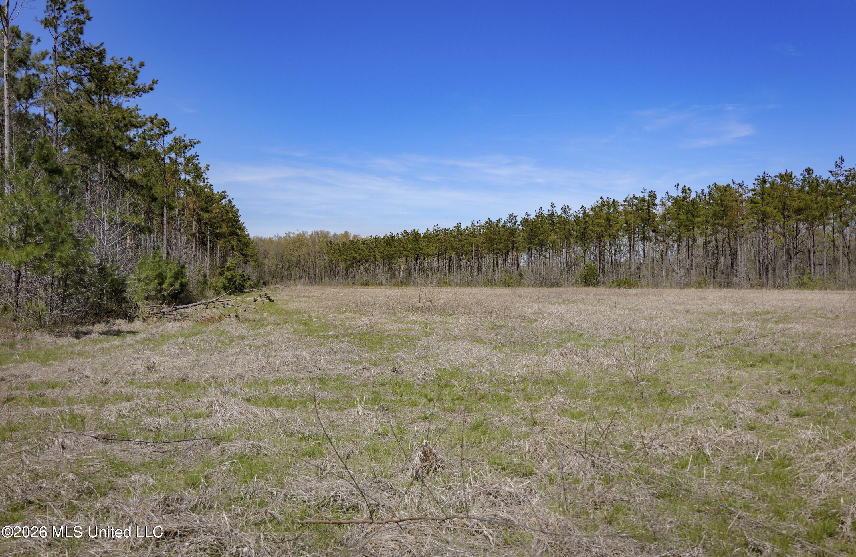Wise Bend Road Thaxton, MS 38871 - Photo 14 of 22 7