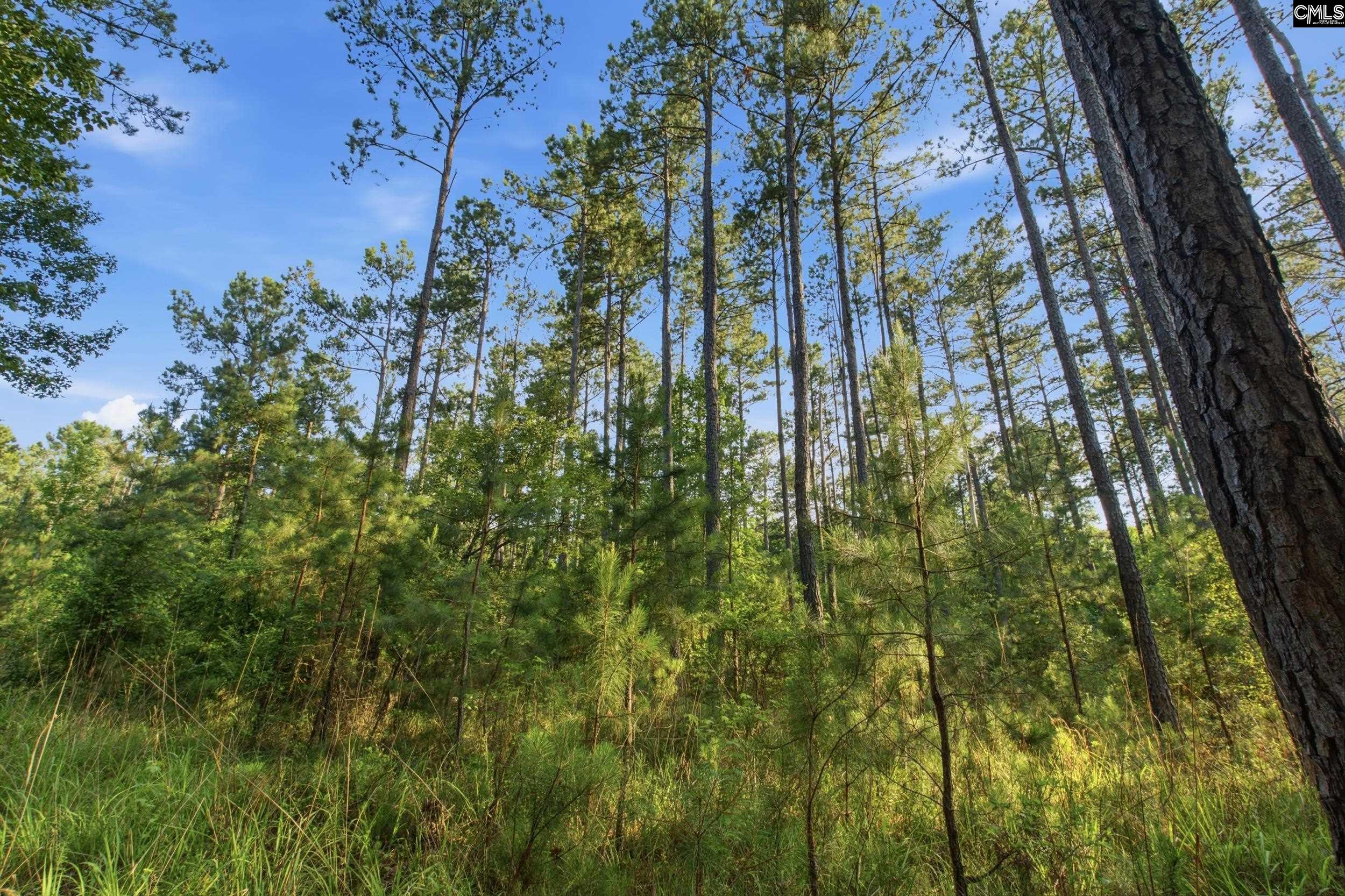 3390 State Rd S-28-496 Kershaw, SC 29067 - Photo 22 of 26