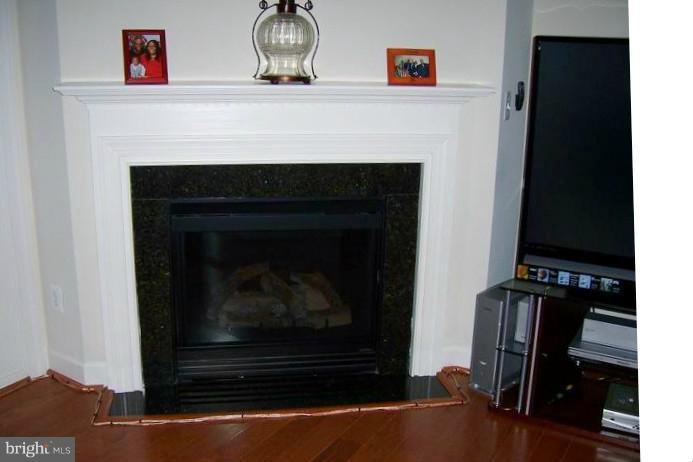 9182 Ribbon Falls Loop Bristow, VA 20136 - Photo 4 of 10 Fireplace