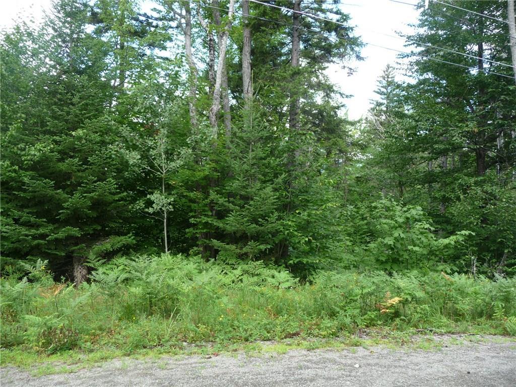 2032 Hillside Road Kingfield, ME 04947 - Photo 1 of 10 Some of the lovely trees on this parcel.