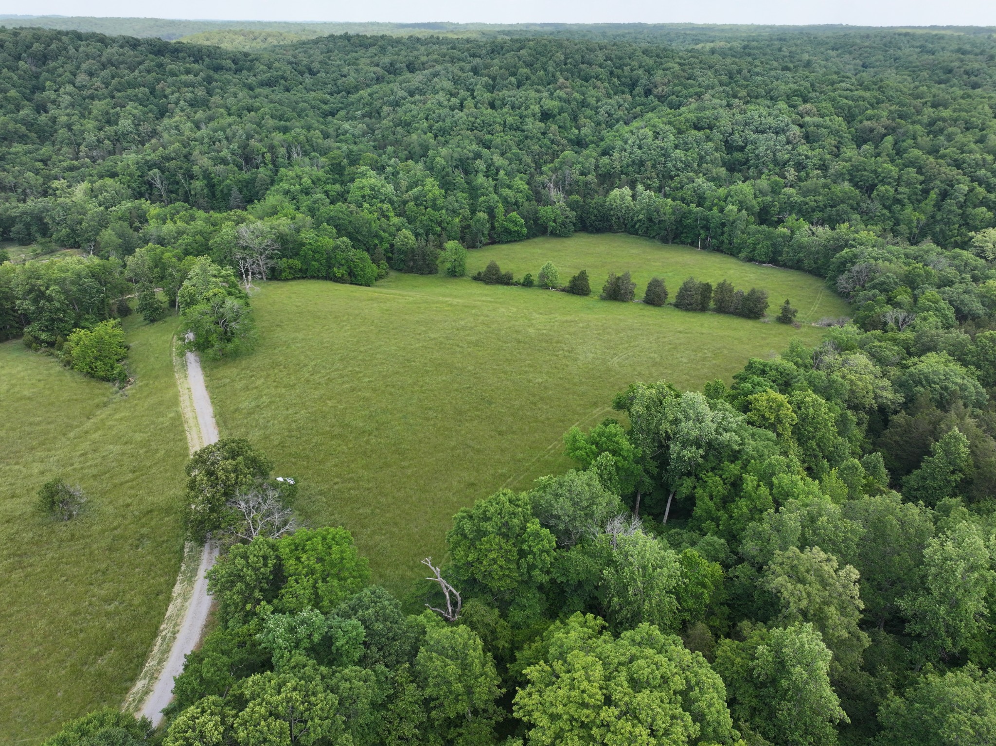 110 Wade Reed Road White Bluff, TN 37187 - Photo 8 of 80