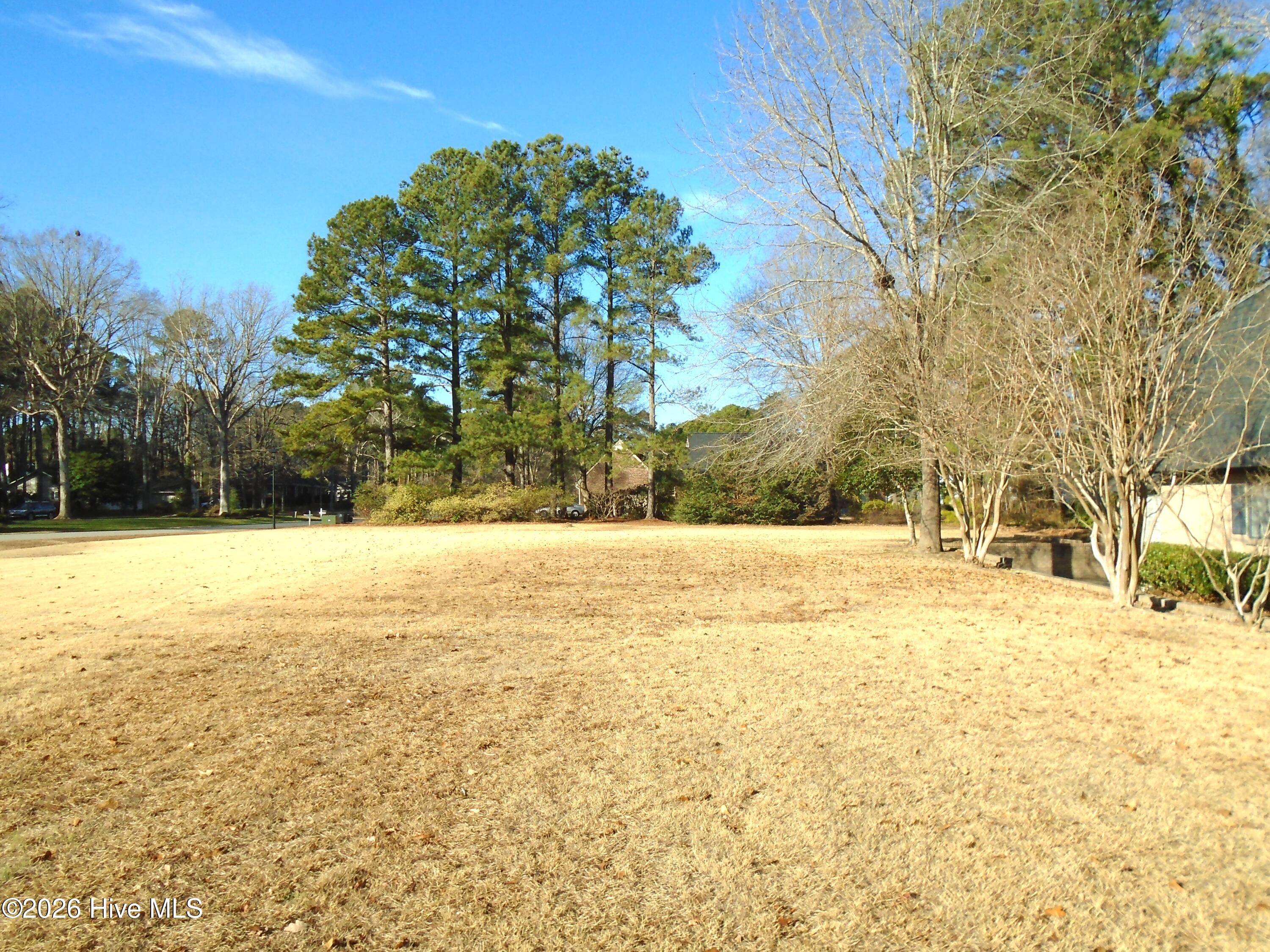 200 Stonybrook Road Rocky Mount, NC 27804 - Photo 3 of 44 Front Side Yard on Iron Horse Rd