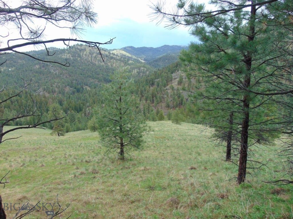 Tbd Shady Spring Lane Cascade, MT 59421 - Photo 4 of 78 Gallery Image 4