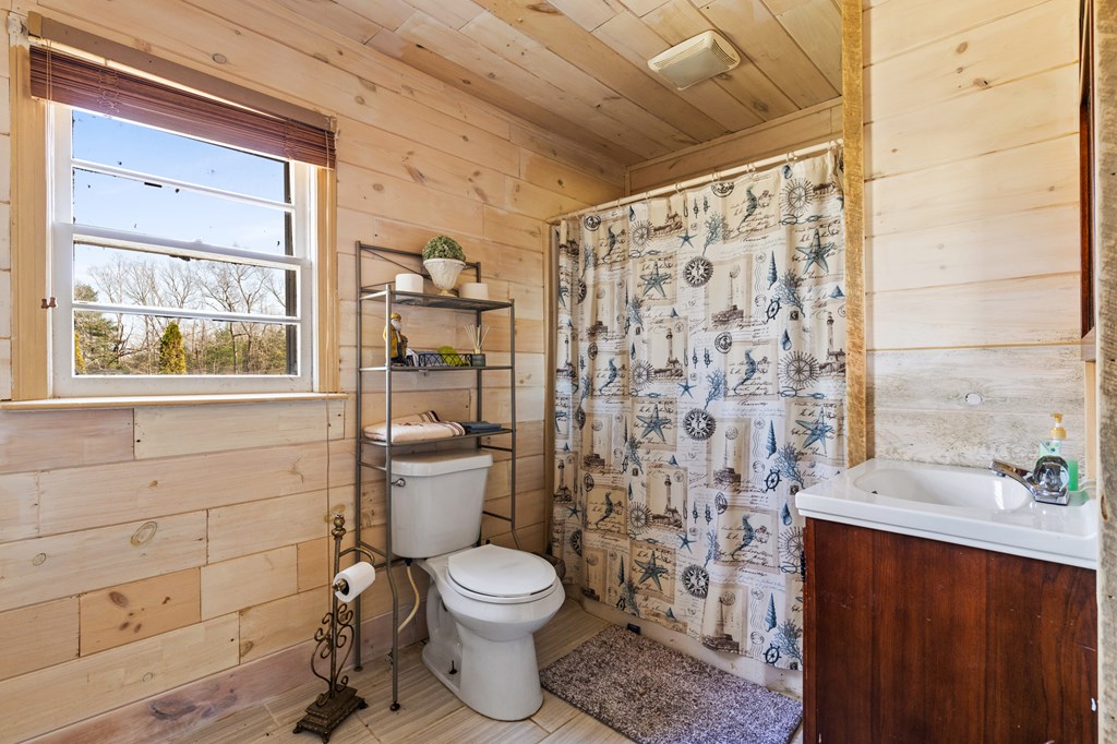 4170 Old Highway 5 Blue Ridge, GA 30513 - Photo 23 of 29 a bathroom with a toilet a sink and a shower