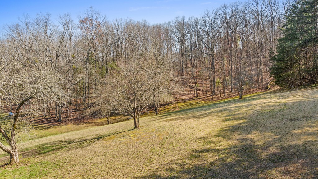 4170 Old Highway 5 Blue Ridge, GA 30513 - Photo 4 of 29 a view of empty space with wooden fence