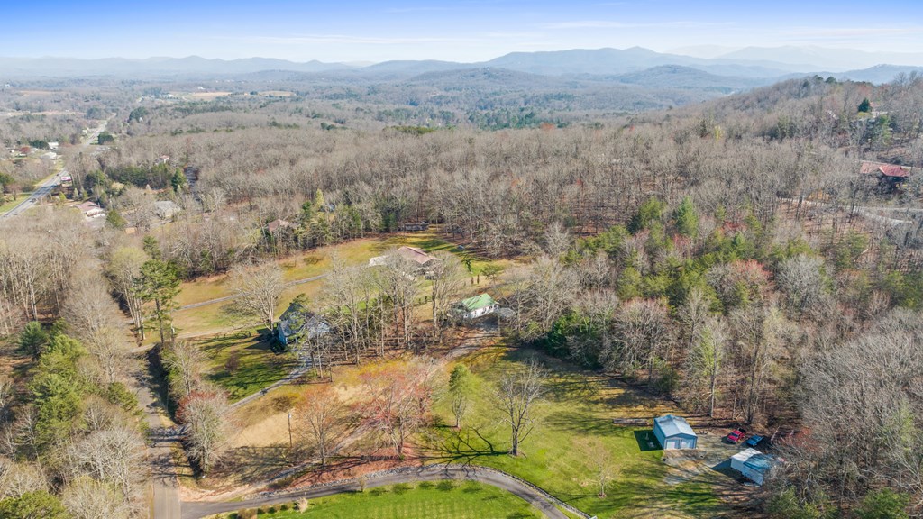 4170 Old Highway 5 Blue Ridge, GA 30513 - Photo 10 of 29