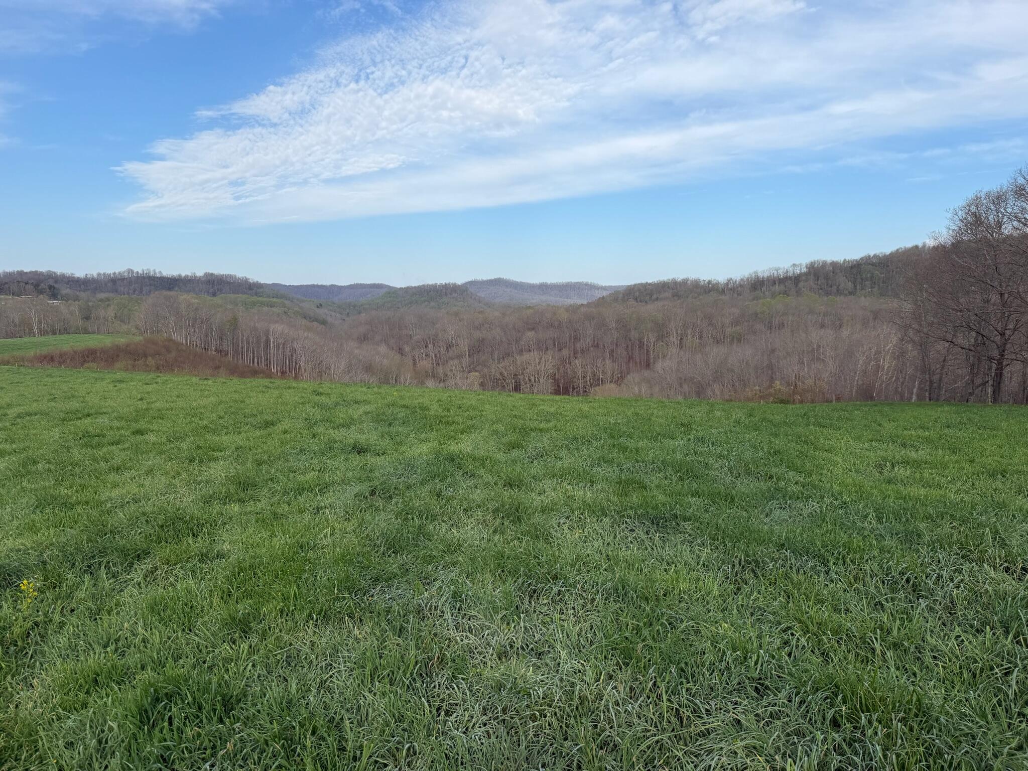 1999 Snake Run Road Alderson, WV 24910 - Photo 18 of 18 IMG_3792