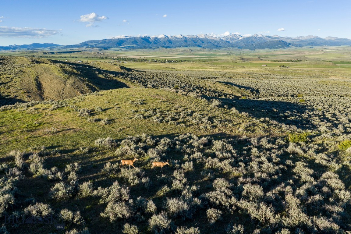 20 Shy Road Wilsall, MT 59086 - Photo 23 of 24 Gallery Image 23