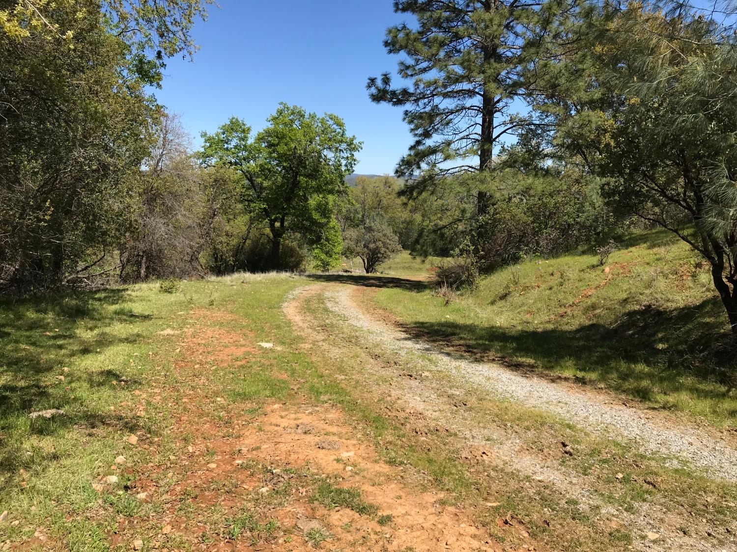 5080 Thompson Hill Road Placerville, CA 95667 - Photo 18 of 37