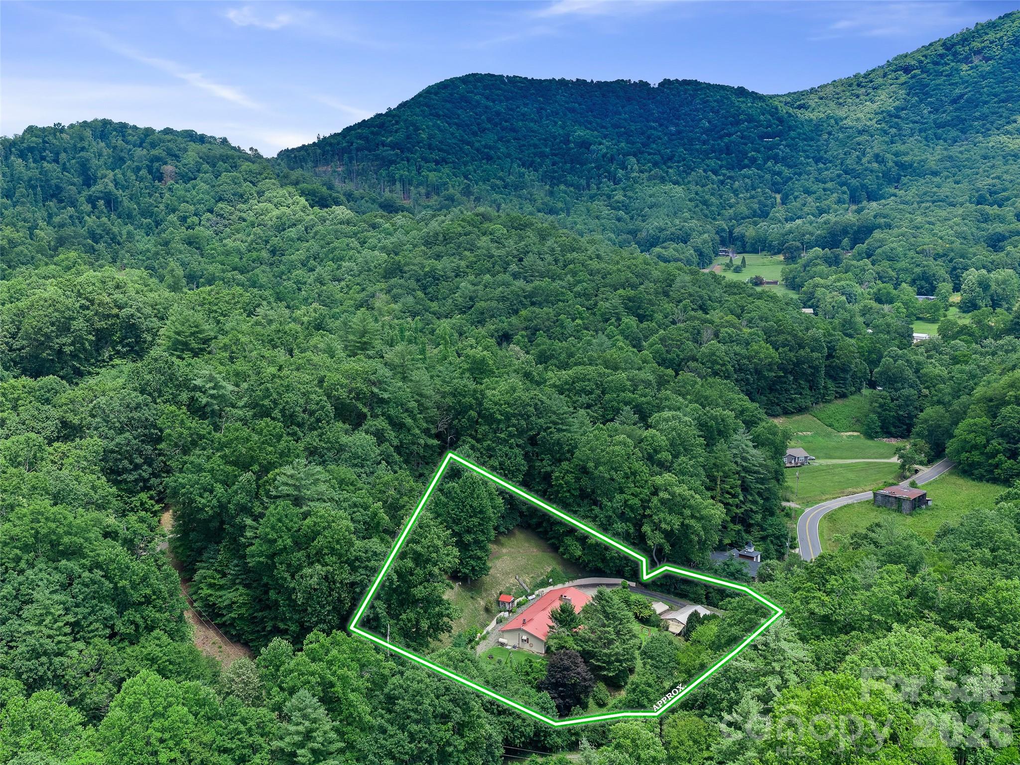 1065 Upper Pig Pen Road Green Mountain, NC 28740 - Photo 39 of 39