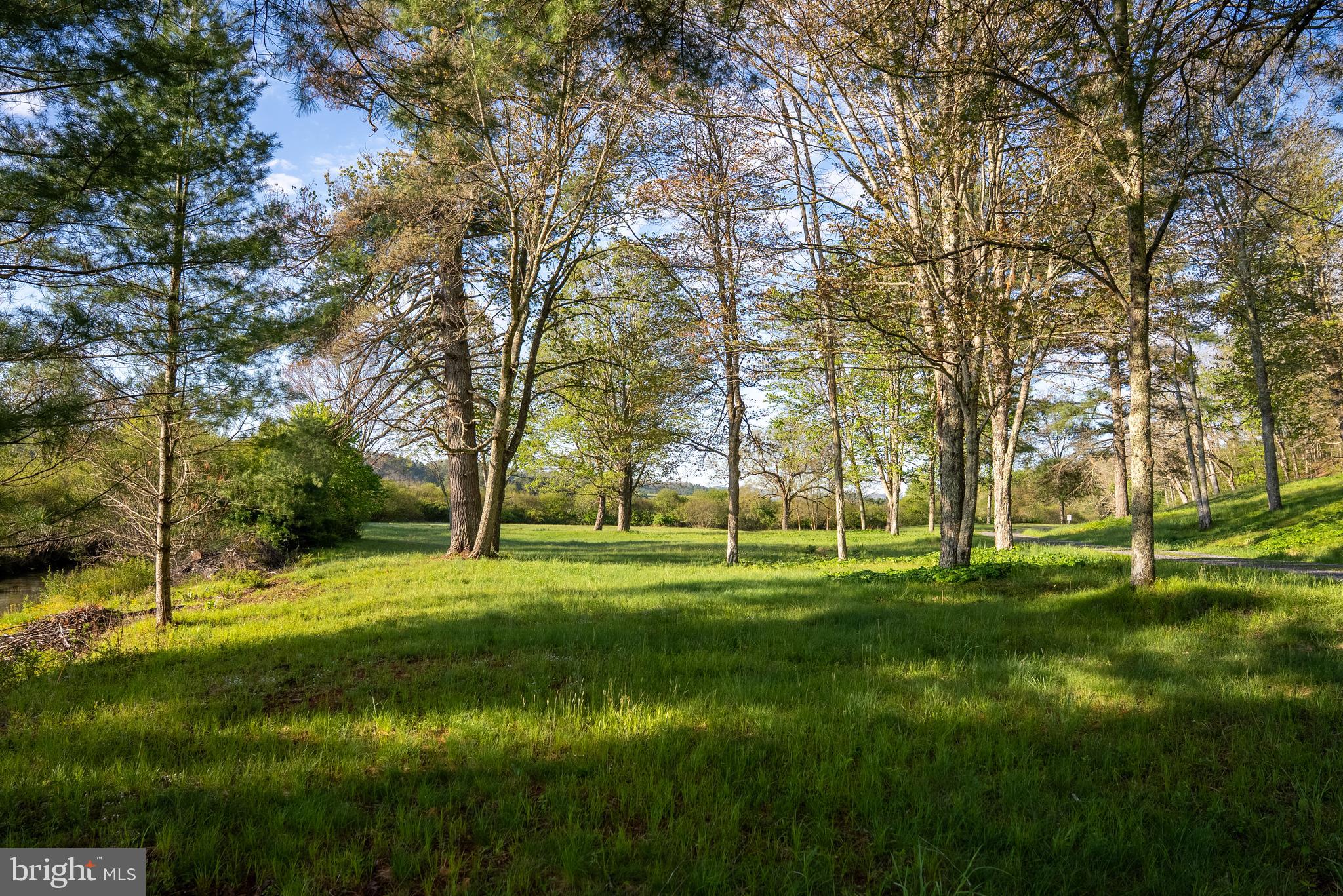 199 Green Bank Road Arbovale, WV 24915 - Photo 78 of 113