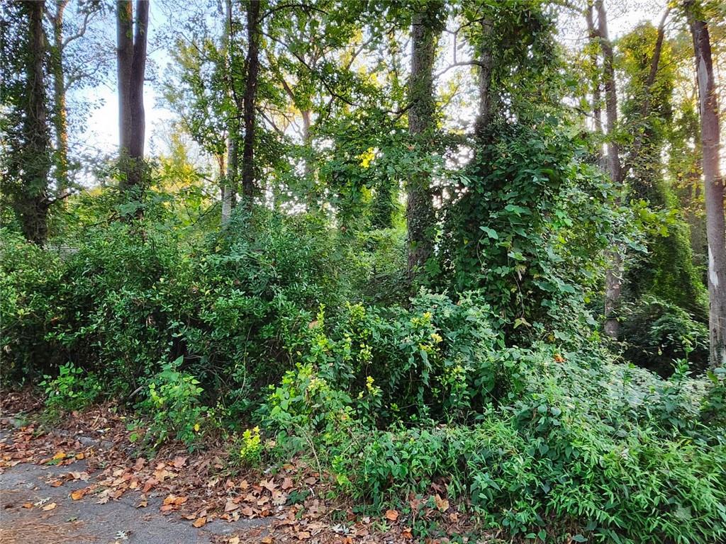 523 Spruce Drive Pine Lake, GA 30083 - Photo 3 of 5