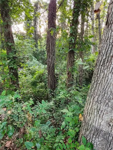 $65,000 | 523 Spruce Drive, Pine Lake, GA 30083