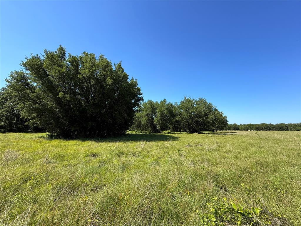 913 North Rice Street Hamilton, TX 76531 - Photo 23 of 28