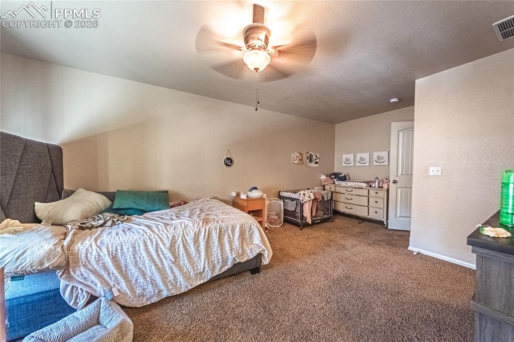 3054 Harpy Grove Colorado Springs, CO 80916 - Photo 17 of 29